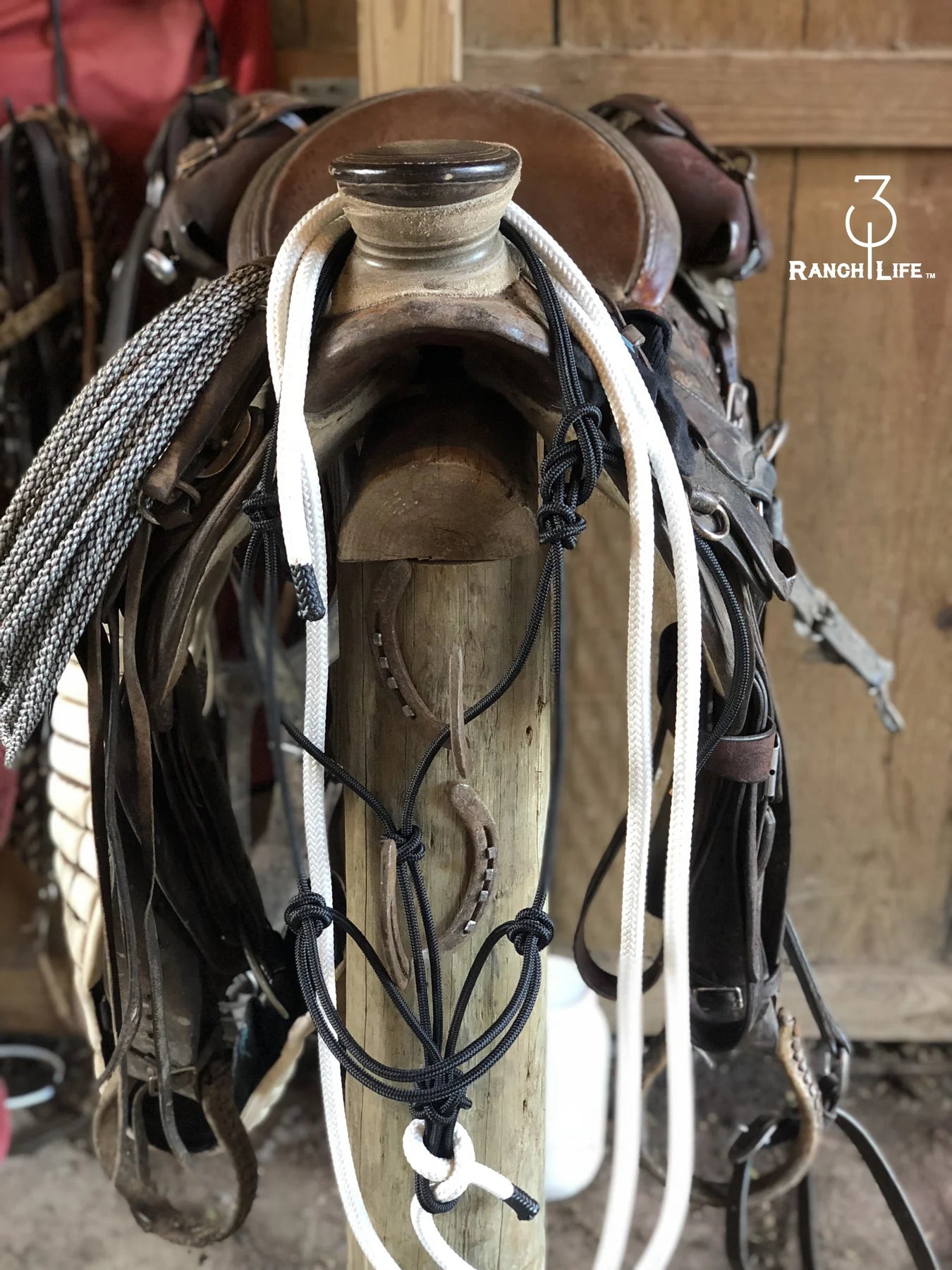 Horse Halter with Lead