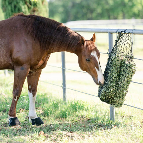 HayChix Panel Feeder