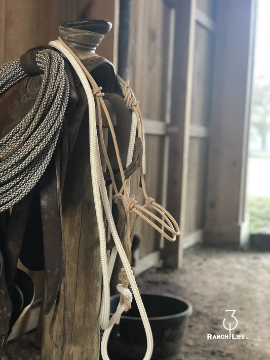 Horse Halter with Lead