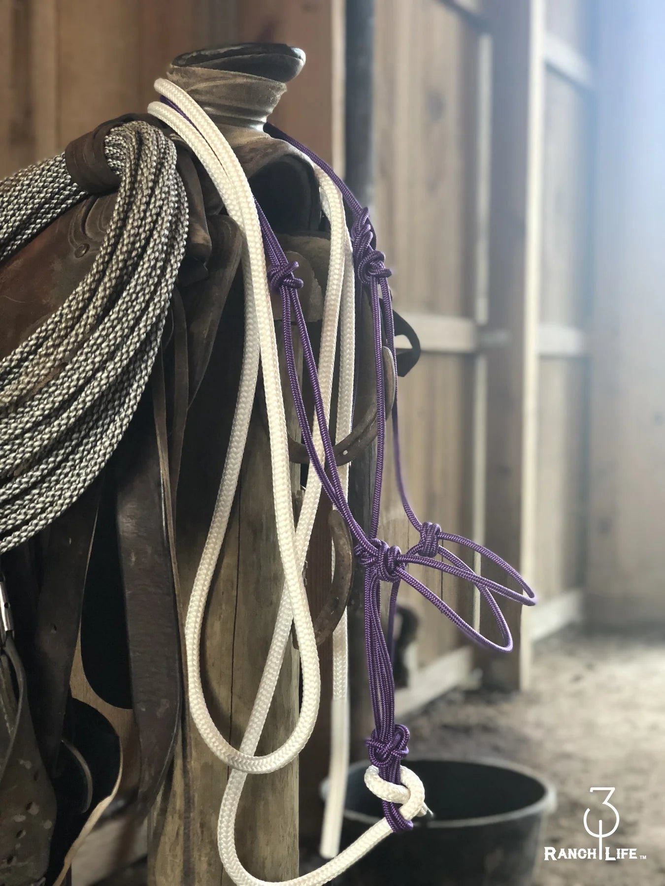 Horse Halters